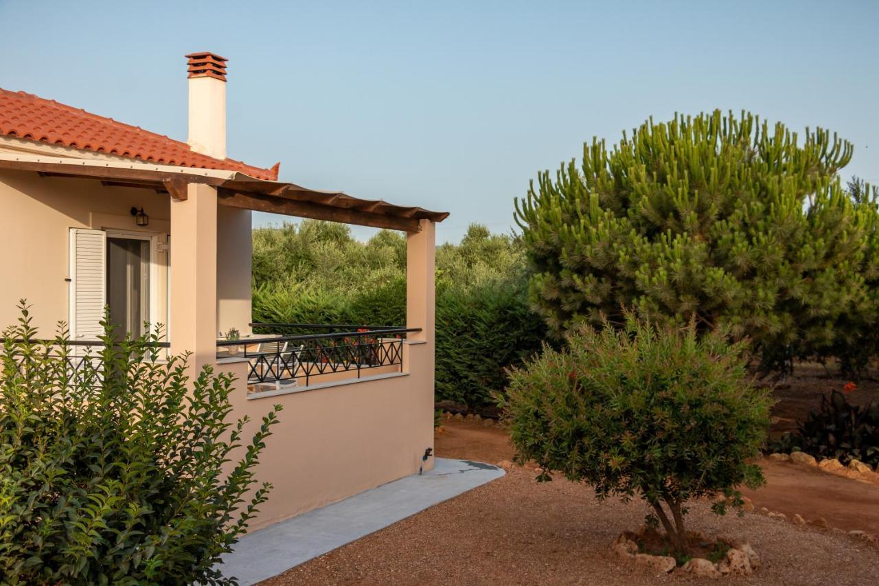 Lagouvardos Apartments ماراثوبوليس المظهر الخارجي الصورة